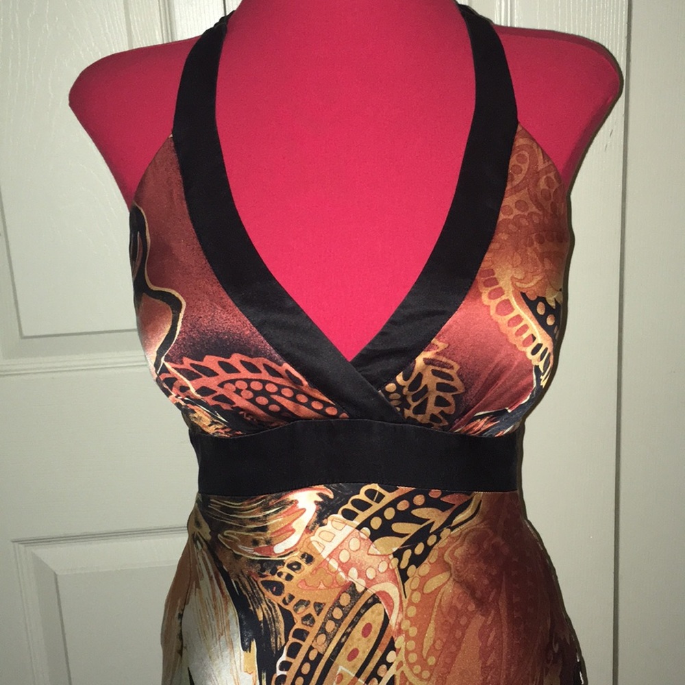 Silk Cache evening dress